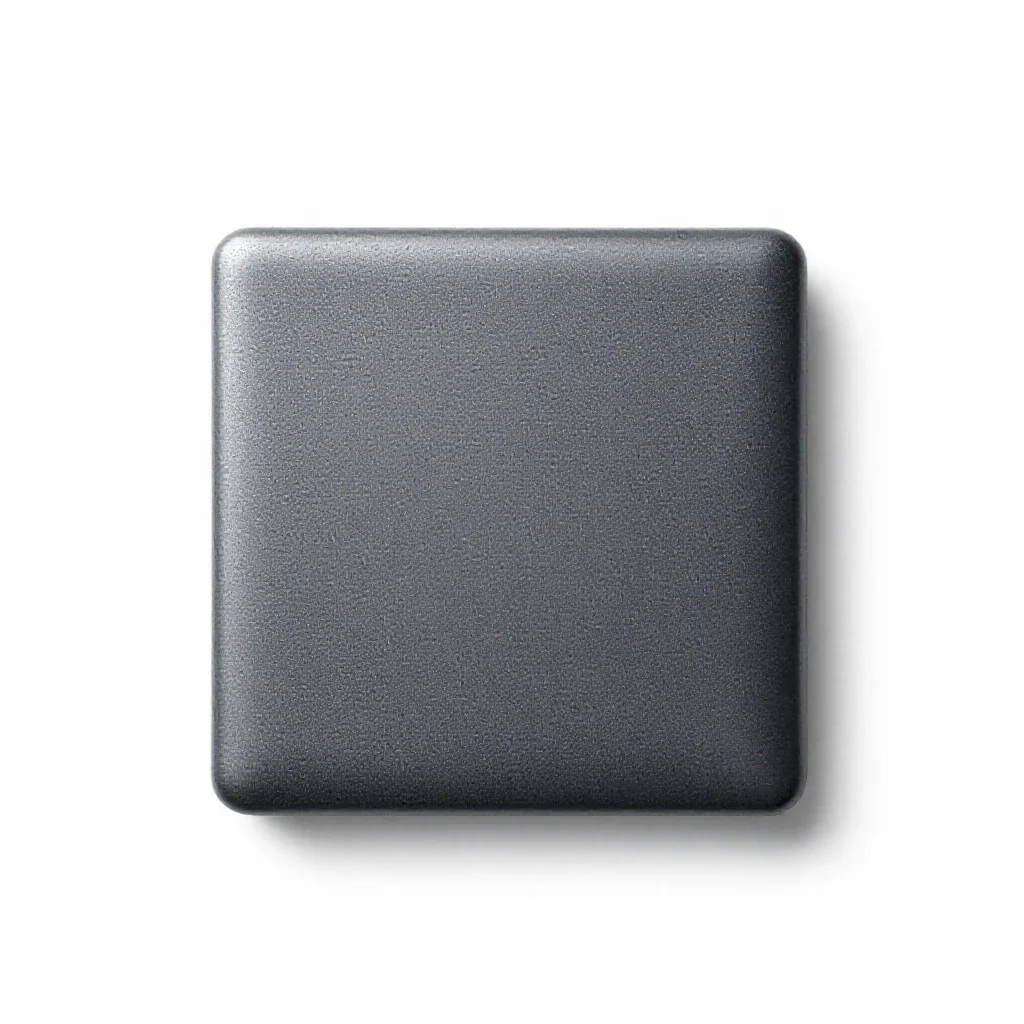 Souari isolated on a white background