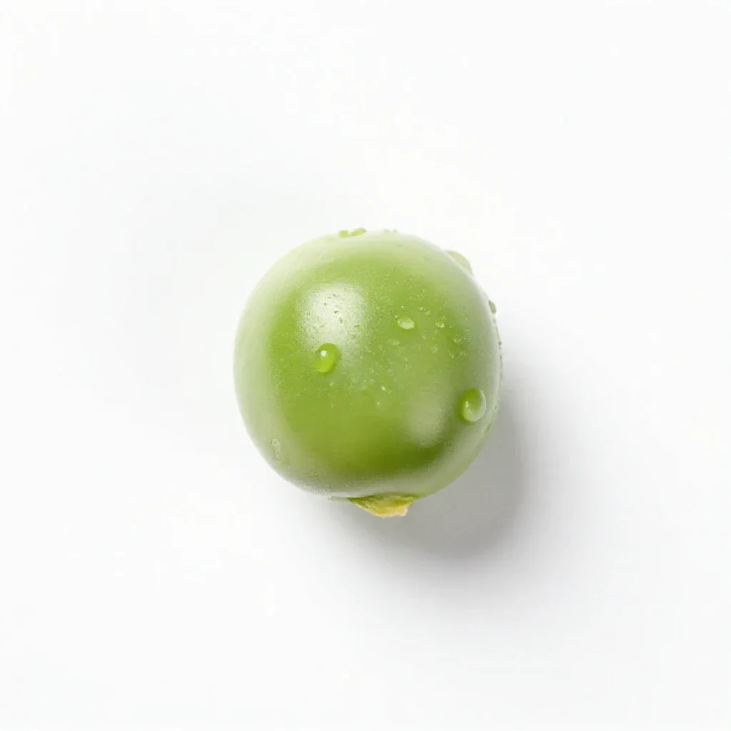Bitter pea isolated on a white background