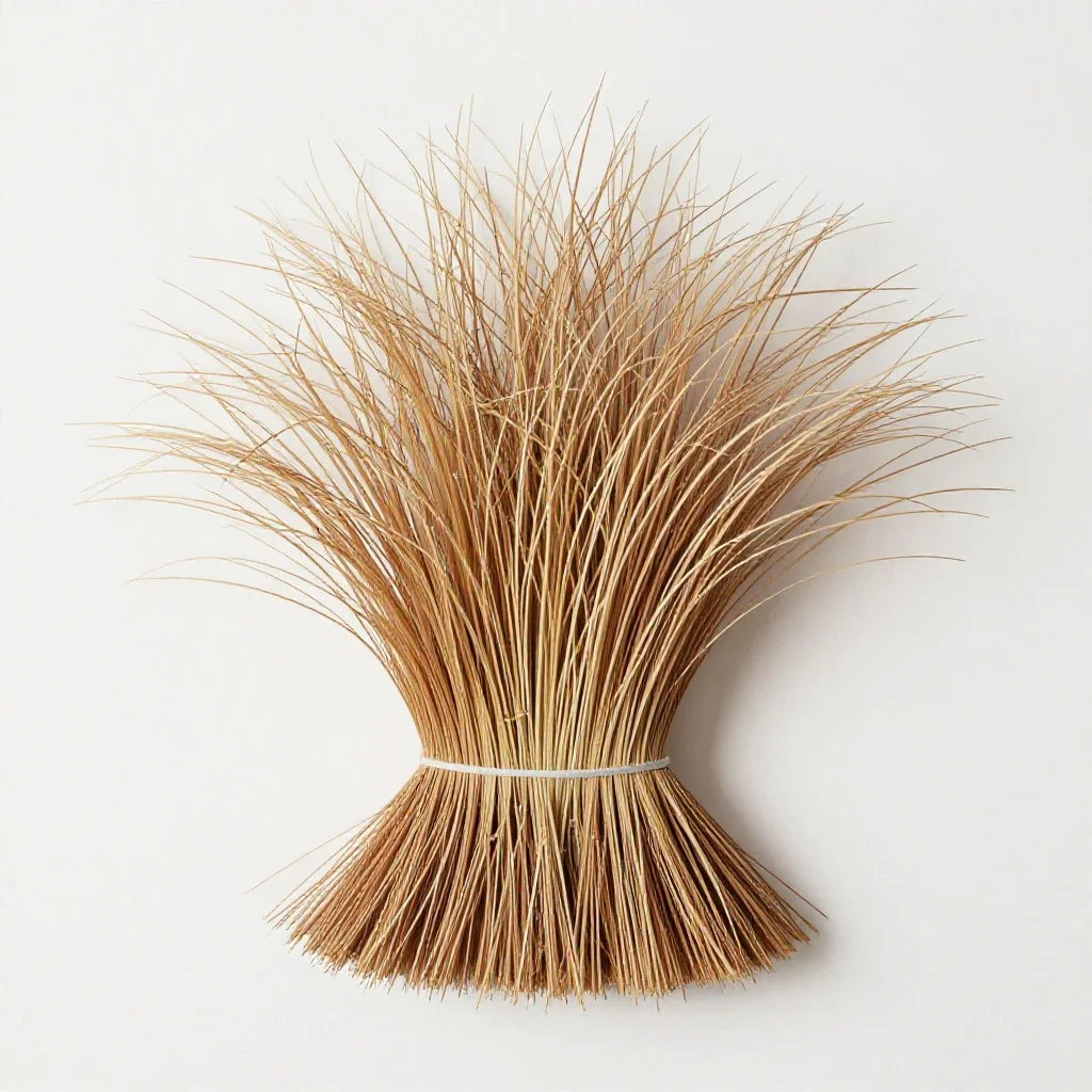 Broom beard grass isolated on a white background