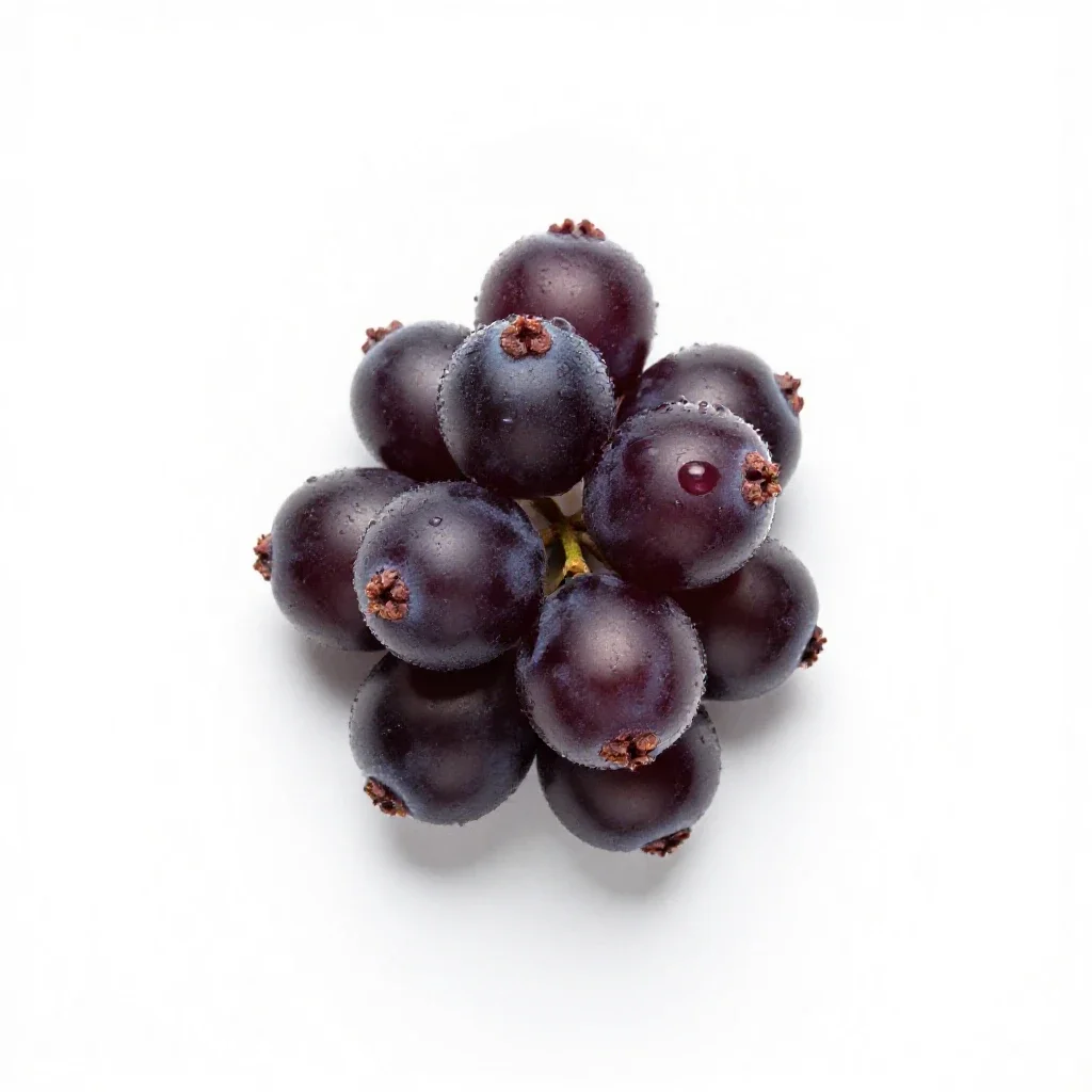 Cowberry isolated on a white background