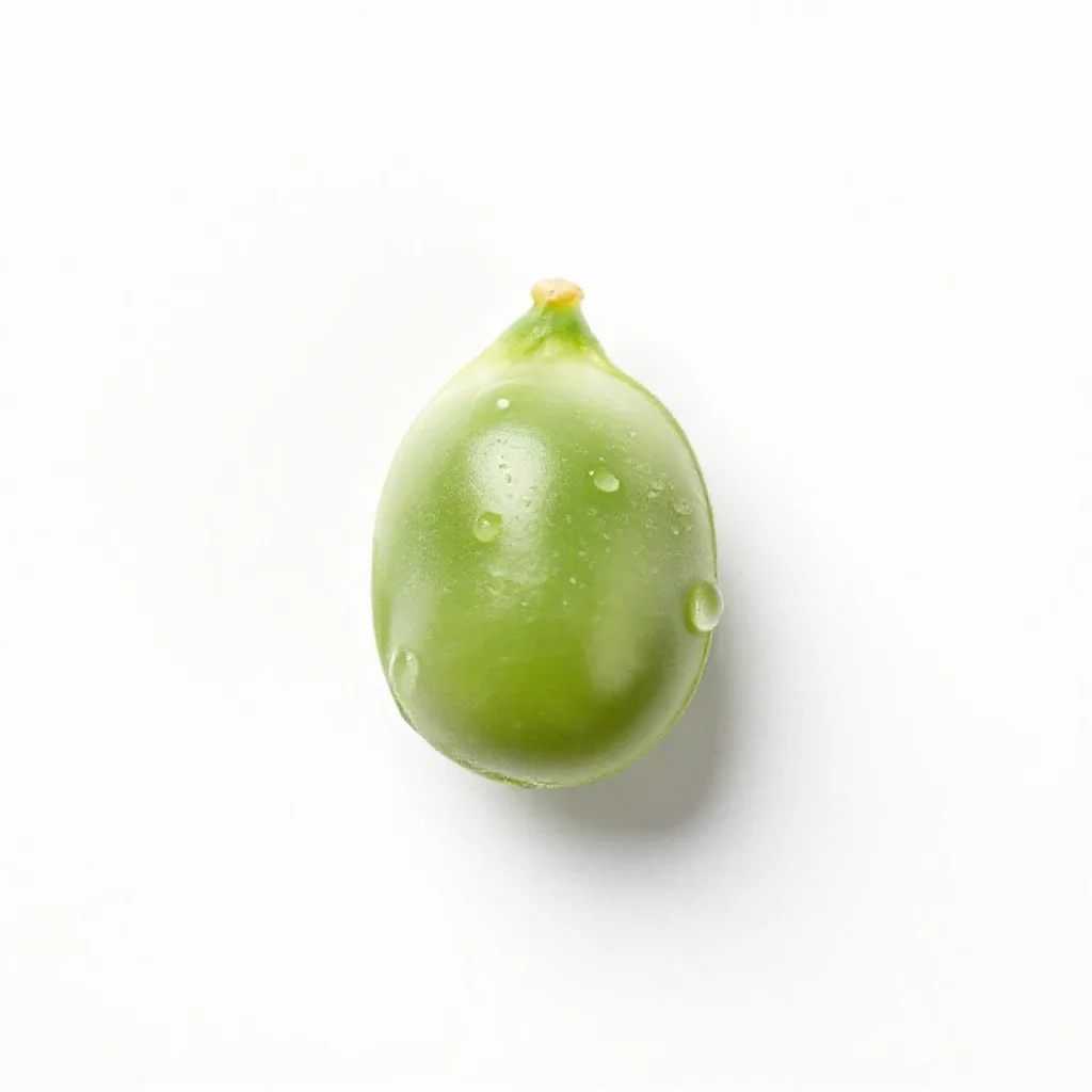 Glory pea isolated on a white background