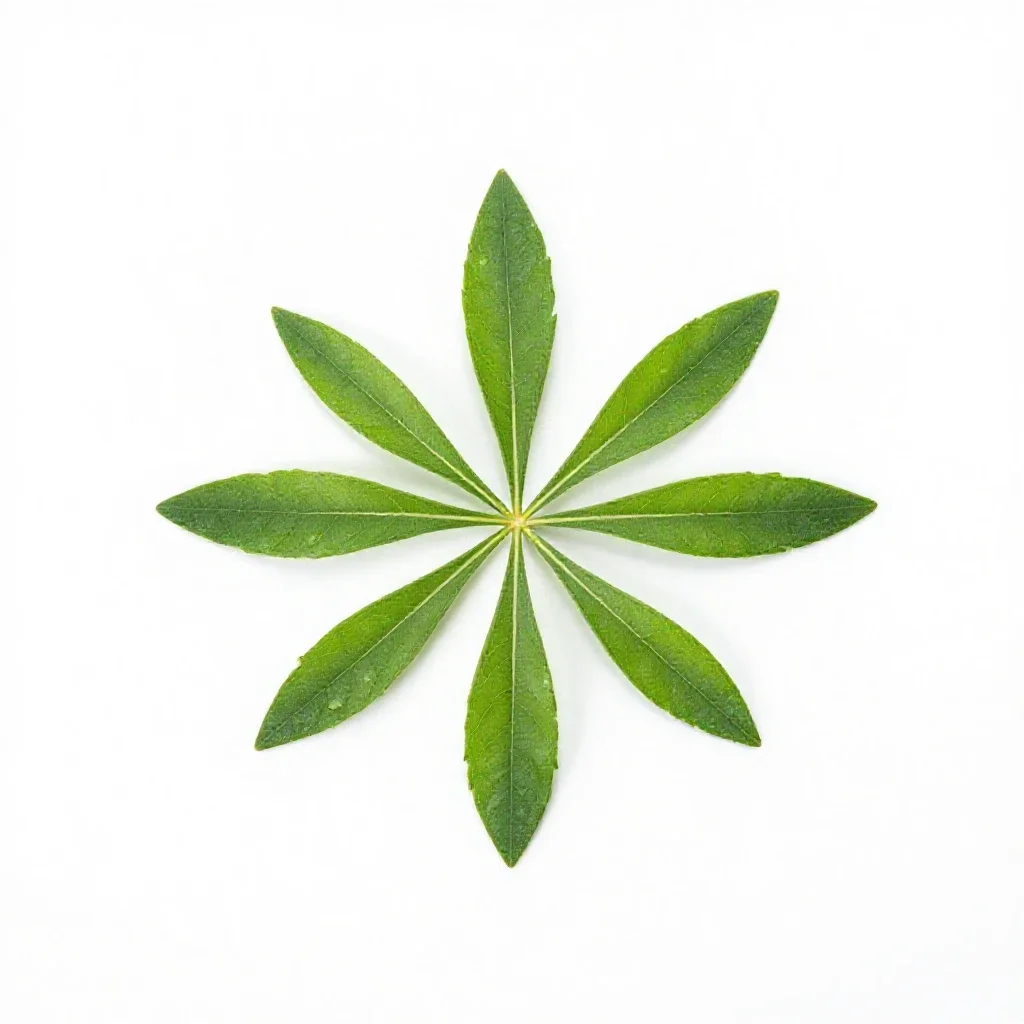 Leadplant isolated on a white background