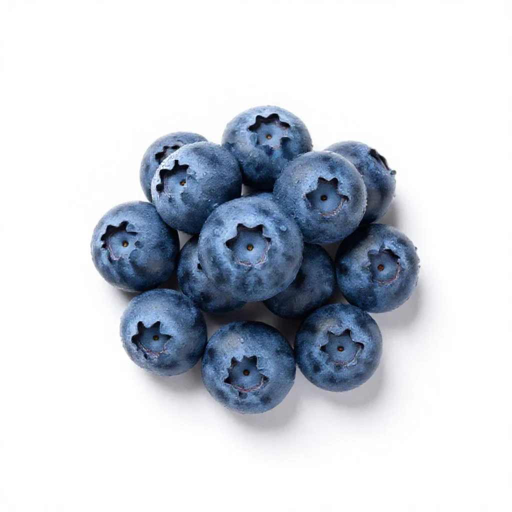 Low-bush blueberry isolated on a white background
