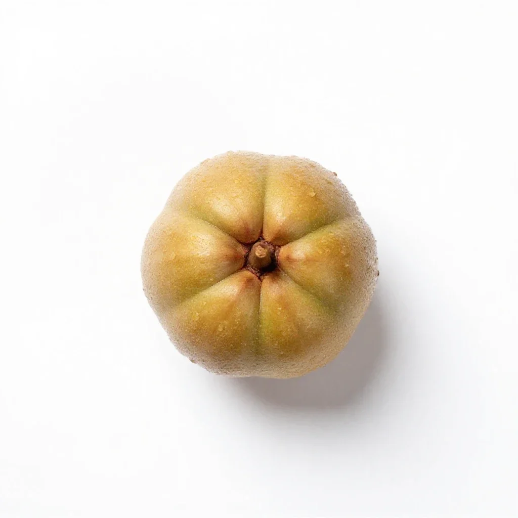 Phalsa isolated on a white background