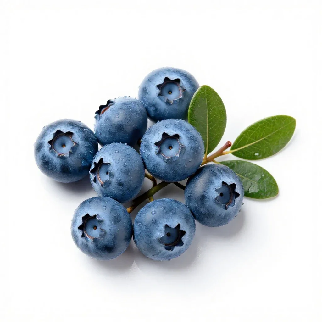 Rabbiteye blueberry isolated on a white background