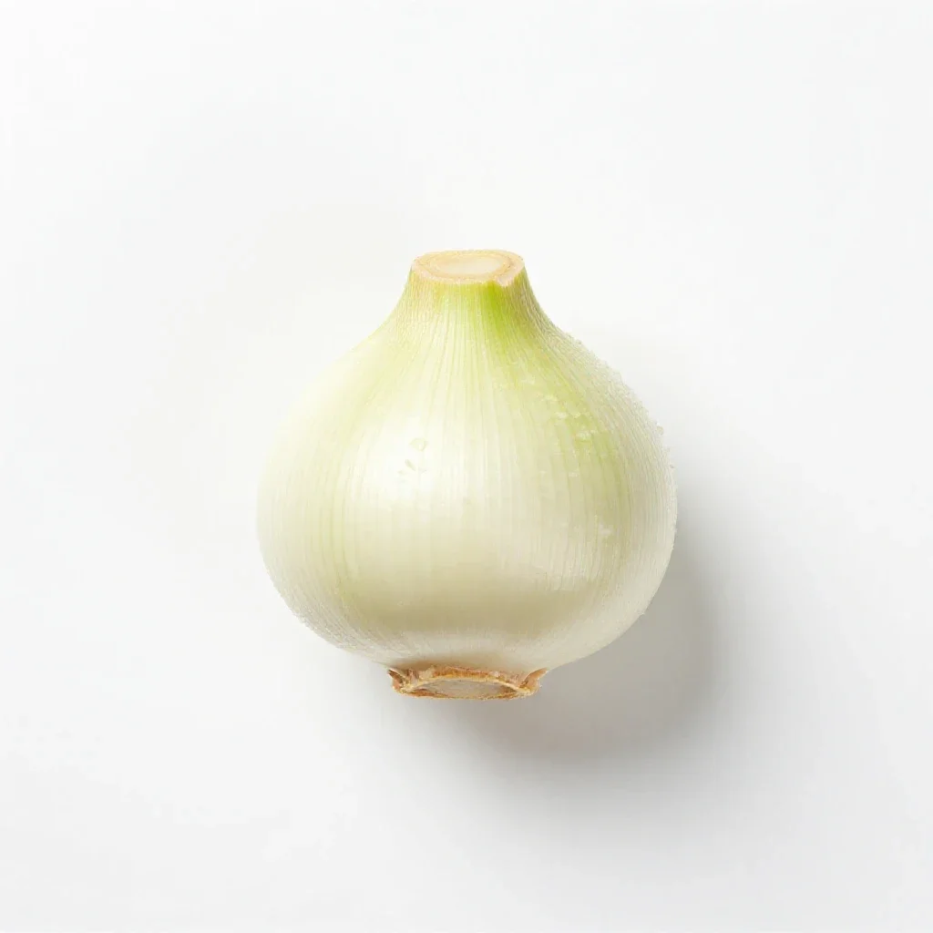 Round-headed leek isolated on a white background