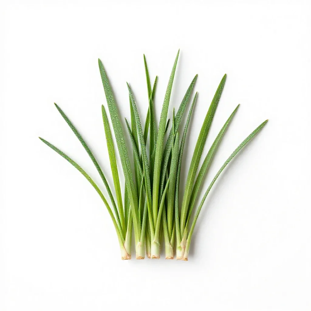 Squaw grass isolated on a white background