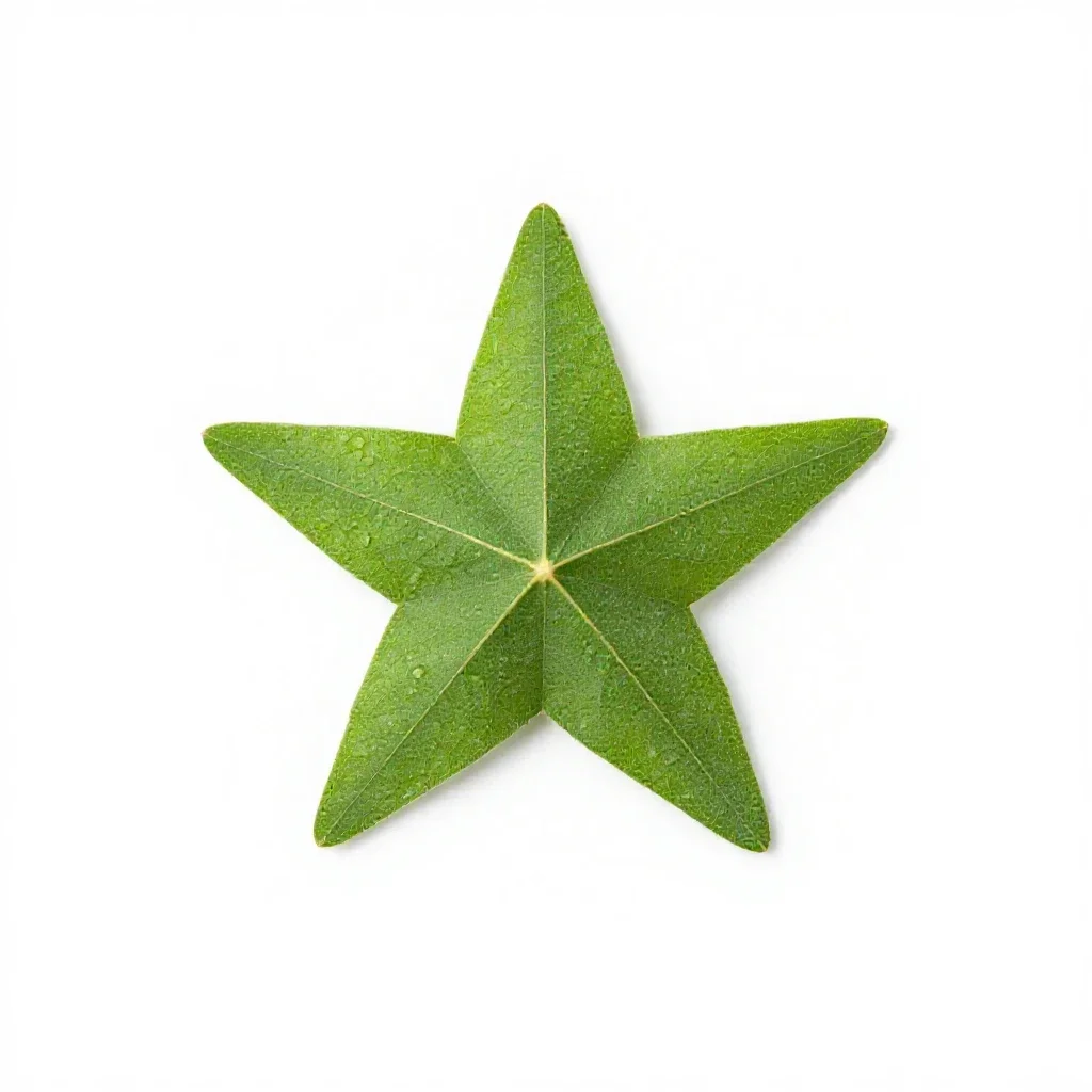 Star grass isolated on a white background