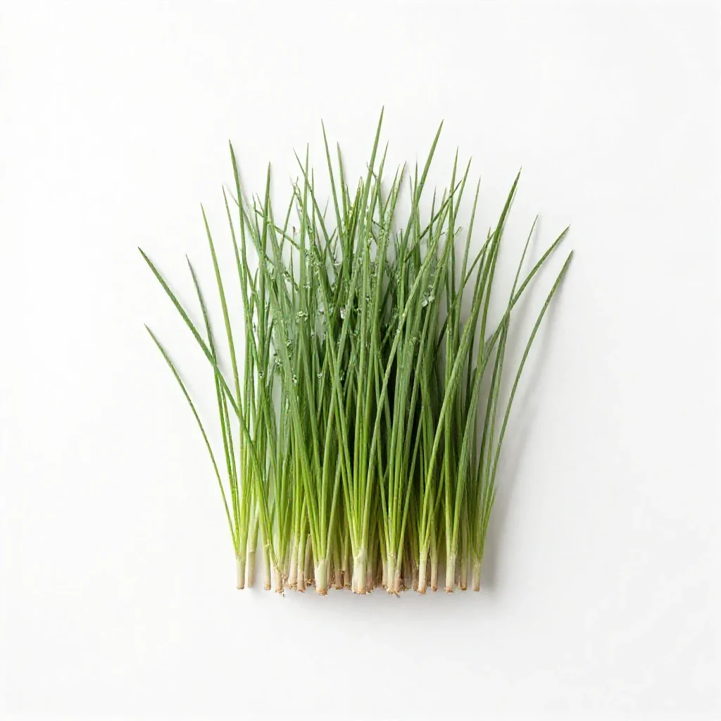 Timothy isolated on a white background