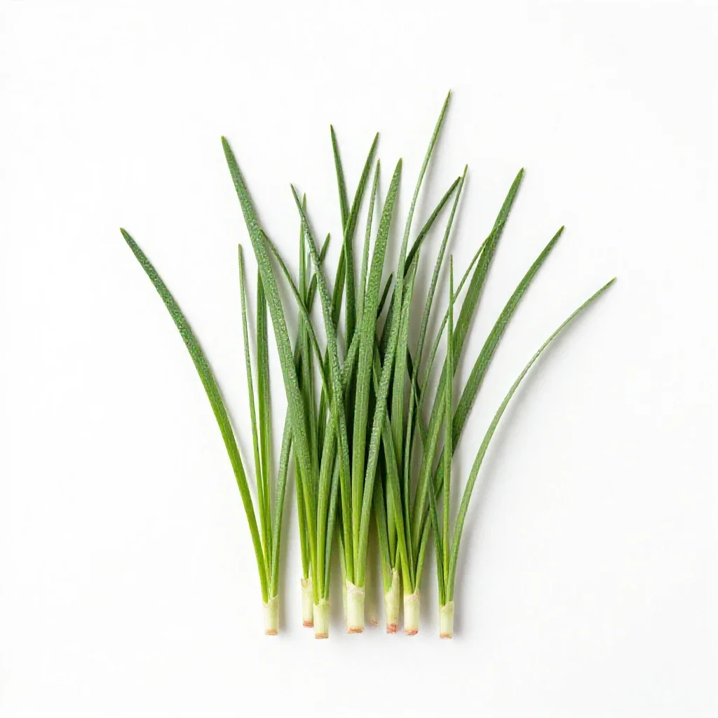 Wood meadowgrass isolated on a white background