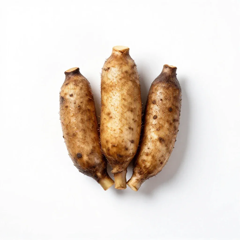 Achira isolated on a white background