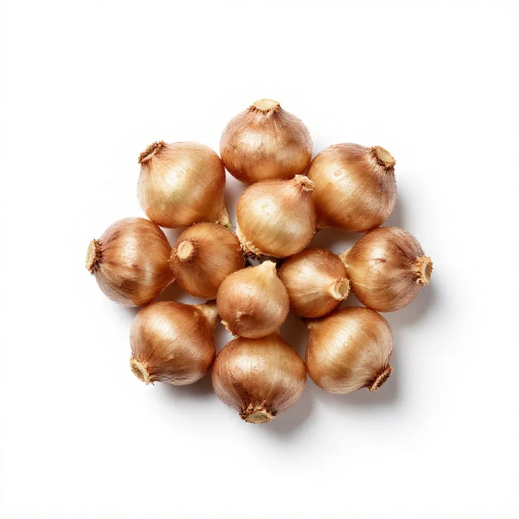 Alliaceous plant isolated on a white background