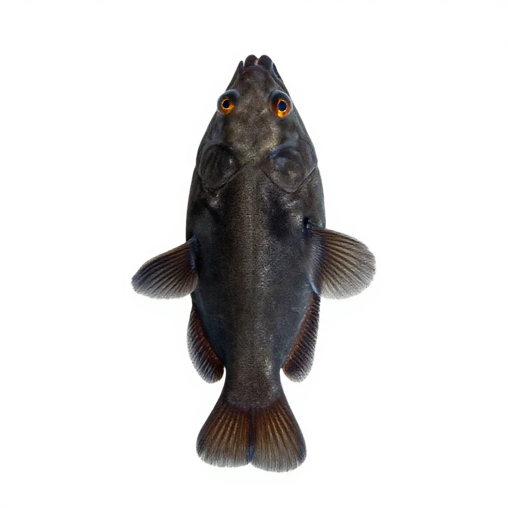 Bio-luminescent deep sea fish isolated on a white background