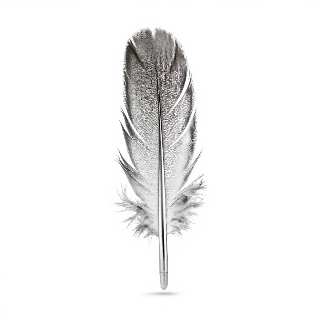 Contour feather isolated on a white background