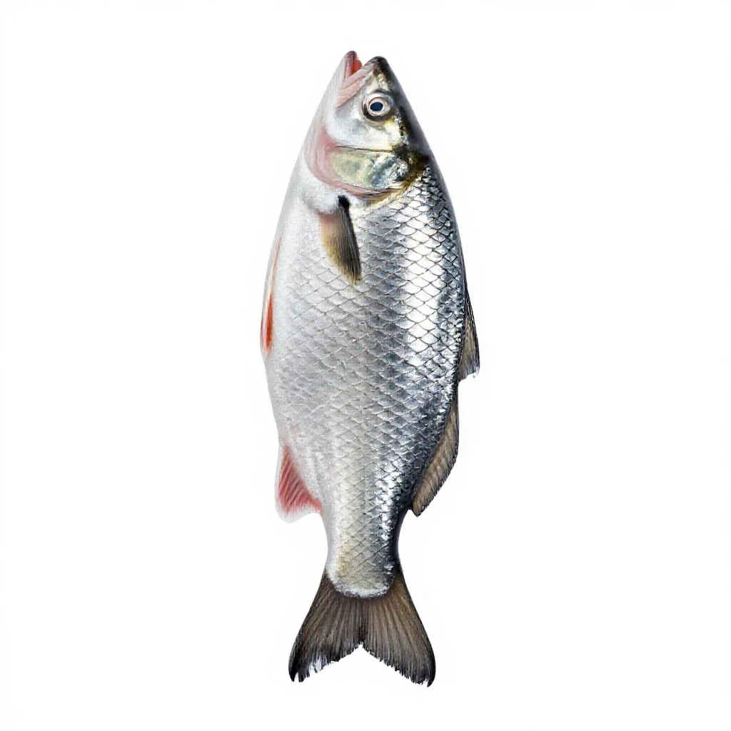 Fish scale isolated on a white background