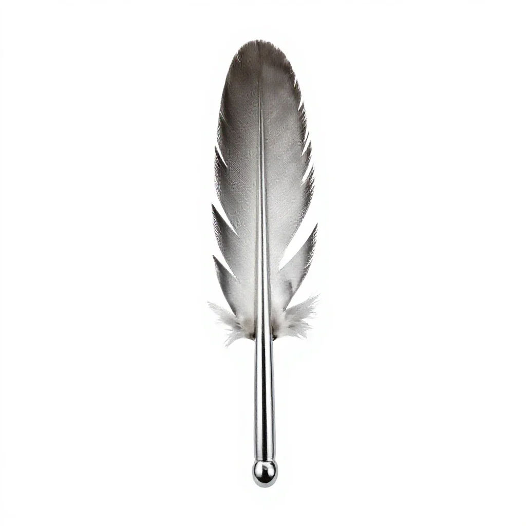 Saddle hackle isolated on a white background