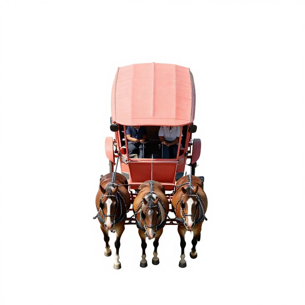 Coach isolated on a white background