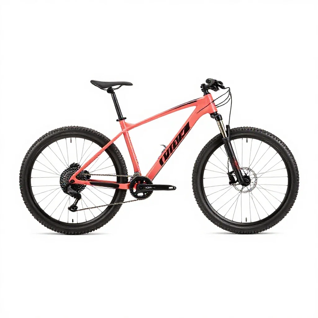 Mountain bike isolated on a white background