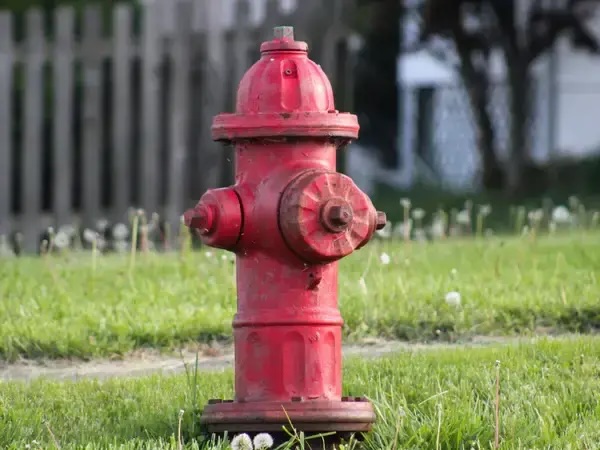 Pixal3D Asset 0352d0f29108