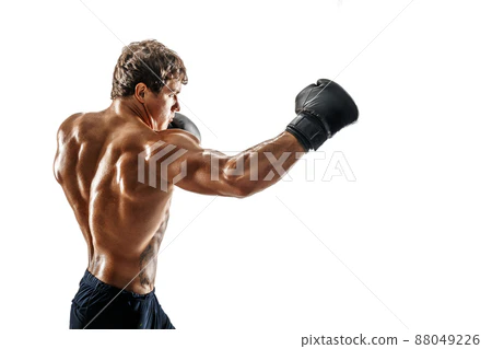 Pixal3D Asset ff5d257c0278