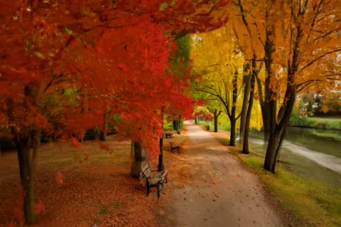Beautiful landscape of a park during autumn 3D model preview
