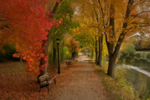 Beautiful landscape of a park during autumn 3D model preview