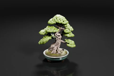 Bonsai tree in a small ceramic pot 3D model preview