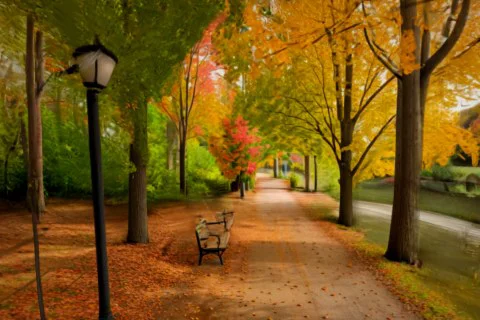 Beautiful landscape of a park during autumn 3D model preview