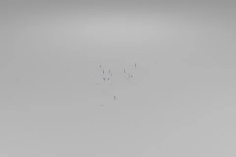 Black and white photograph of a group of birds flying in the sky 3D model preview