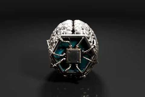 Human brain 3D model preview