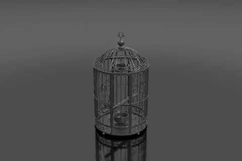Ornate Victorian birdcage in wrought iron with scrollwork detailing and a 3D model preview