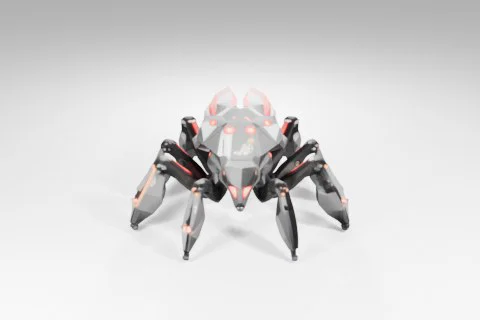 Spider 3D model preview