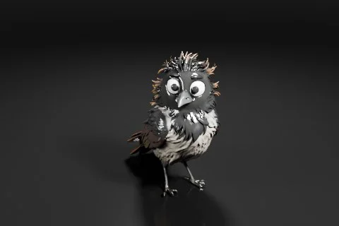 Small bird with a black and white color scheme 3D model preview