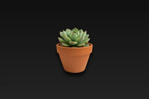 Small succulent plant in a terracotta pot 3D model preview