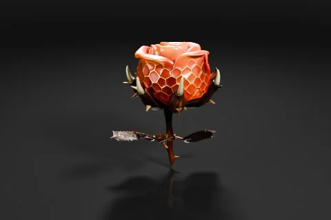 Close-up of a single rose bud on a black background 3D model preview